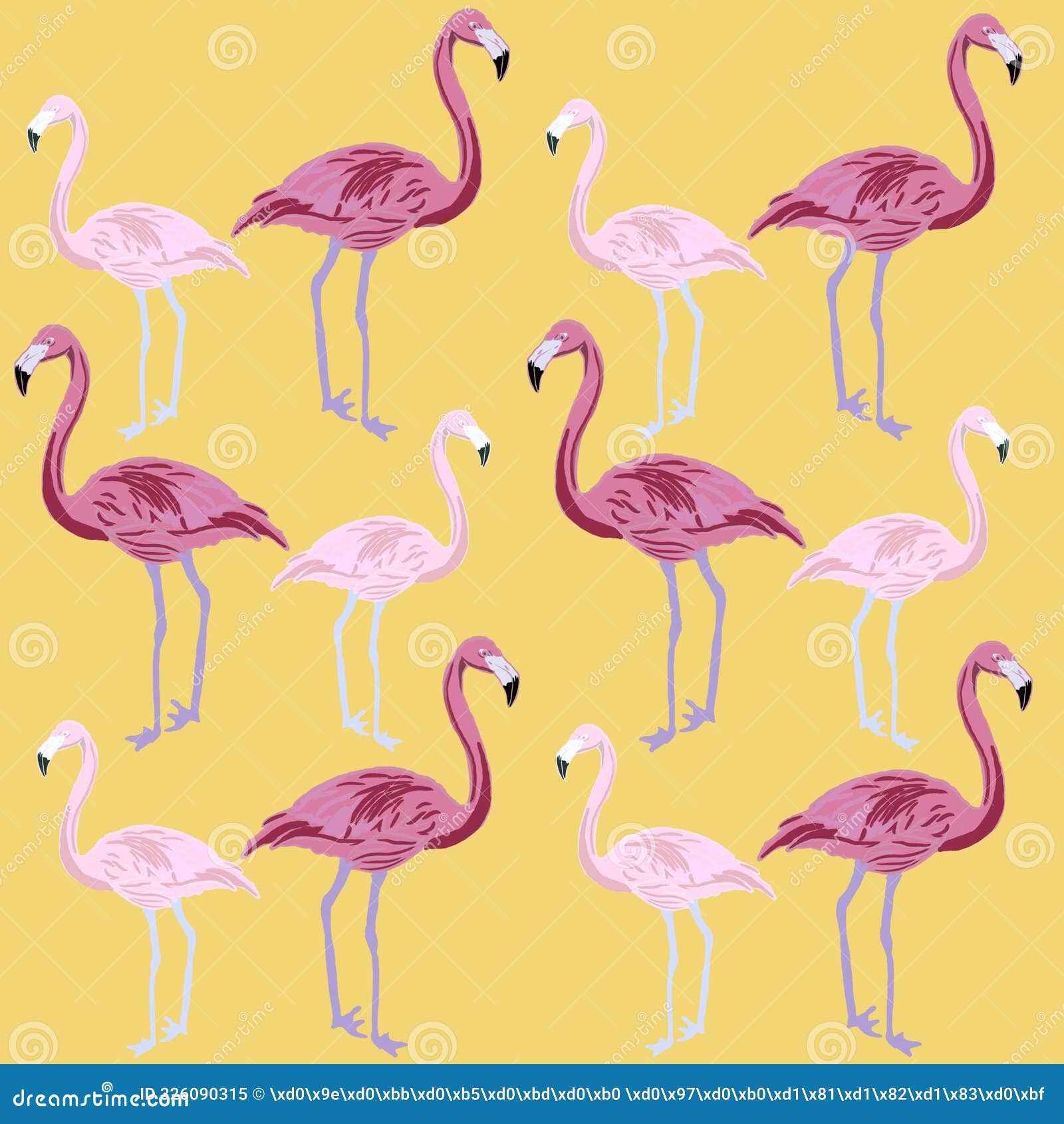 flamingo bird pink animal nature beak zoo  wildlife water feathe tropical